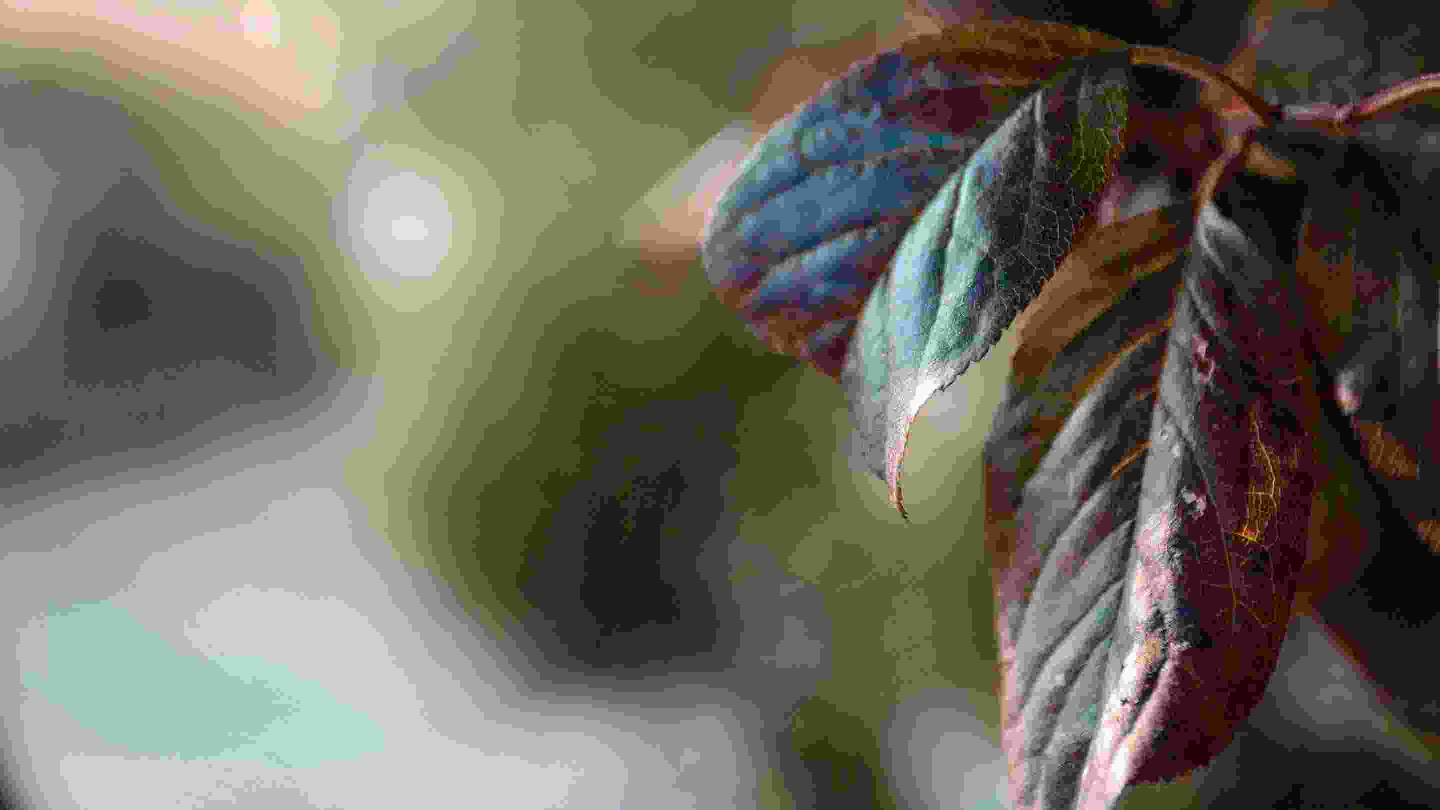 banner1